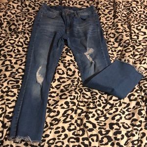 Vigoss, Stevie, Crop Straight Jeans